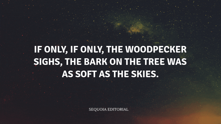 If only, if only, the woodpecker sighs, the bark on the tree was as soft as the skies.