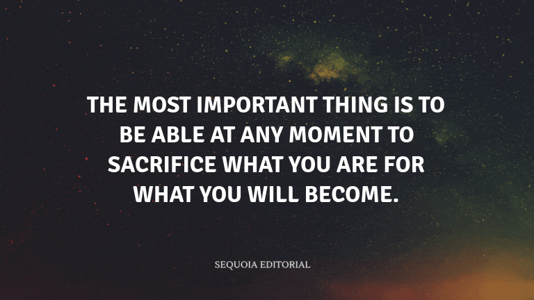 The most important thing is to be able at any moment to sacrifice what you are for what you will bec